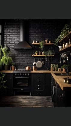 a kitchen filled with lots of potted plants next to a stove top oven and sink