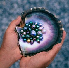 ∆ Pearl...Pearls - changes bad fortune into good & discord into harmony. Tahitian Black Pearls, Bohol, Valerian, Rocks And Gems, Tahitian Pearls, Gems And Minerals, Crystal Gems, Crystals Minerals, Minerals Crystals