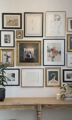 a wall with many framed pictures on it and a potted plant in the corner