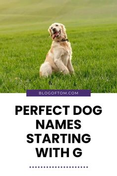 a dog sitting in the grass with text overlay that reads perfect dog names starting with g