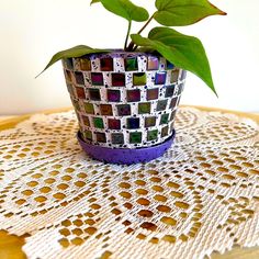 a small potted plant sitting on top of a doily covered table with green leaves