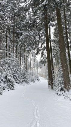 Winter Town, Snowy Weather, Magical Winter, Parc D'attraction, Winter Background, Home Town