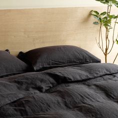 an unmade bed with black linens and a plant in the corner next to it