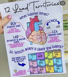 a hand holding up a poster with an image of the human heart and its major functions