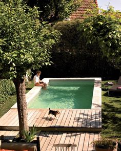 a person sitting on the edge of a swimming pool with a dog in front of them