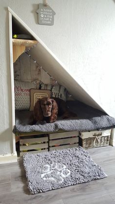 a dog laying on top of a wooden crate under a stair case in a house