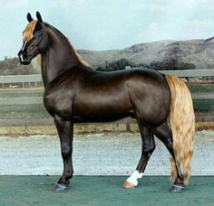 a brown horse standing on top of a field next to a body of water with mountains in the background