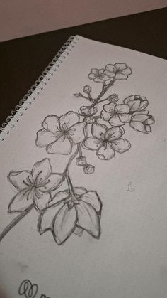 a drawing of some flowers on a sheet of paper