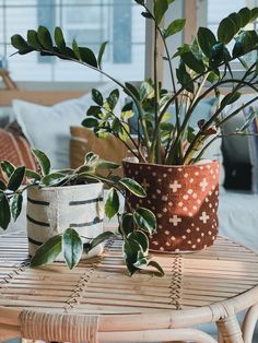 two potted plants sitting on top of a table