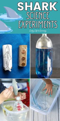 shark science experiments and activities for kids