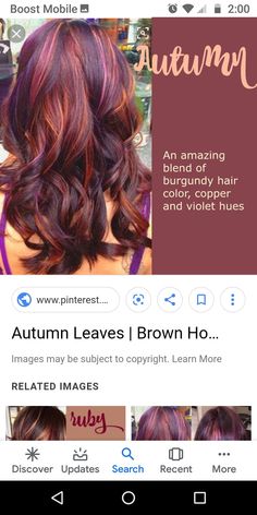 Highlights In Burgundy Hair, Burgundy And Gold Highlights, Red Hair With Violet Highlights, Red Hair Color Ideas With Highlights, Deep Burgundy Hair Color With Highlights, Fall Hair Colors For Medium Length Hair, Light Brown Burgundy Hair Color, Burgundy And Caramel Hair, Auburn And Silver Hair