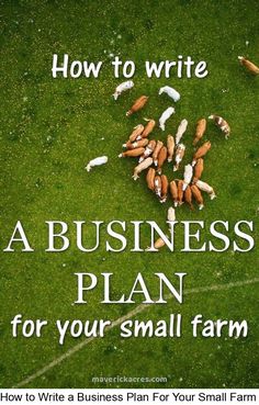 the words how to write a business plan for your small farm are surrounded by nuts