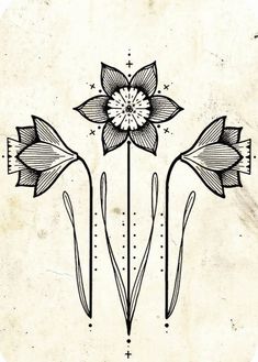 a drawing of three flowers on a white background