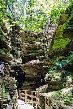 a wooden walkway leading to a cave in the woods