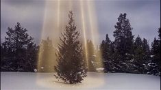 a small christmas tree in the middle of a snowy field with beams of light coming from it