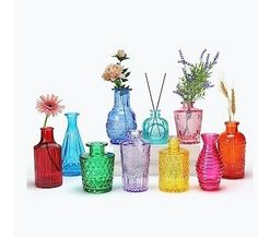 there are many different colored vases and flowers in each one, all lined up