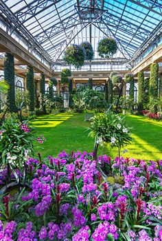 the inside of a building with lots of plants and flowers in it's center