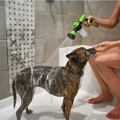 a woman is sitting in the bathtub with her dog and spraying water on it