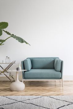 a living room with a couch, table and potted plant on the floor in front of it