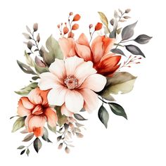 watercolor painting of flowers on white background