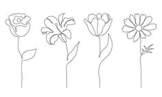 four different types of flowers are shown in this line art drawing technique, which is easy to draw