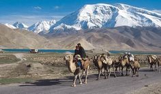 a group of people riding on the backs of camels down a road with mountains in the background