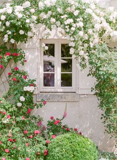 an open window in a white building surrounded by flowers