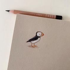 a pencil drawing of a bird sitting on top of a piece of paper next to a marker