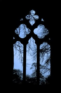 the silhouette of two trees in front of a window