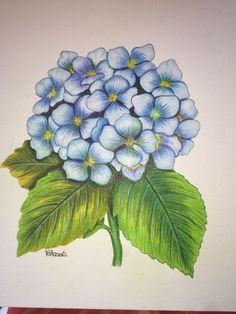 a drawing of blue flowers with green leaves