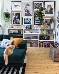 a living room filled with furniture and lots of pictures on the wall above it's bookshelf