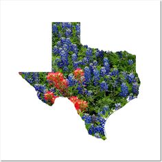 the texas map is made up of blue and red flowers