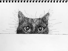 a drawing of a cat peeking out from behind a wall