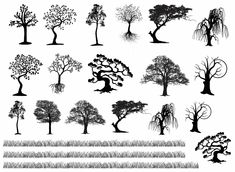 various trees and shrubs silhouettes