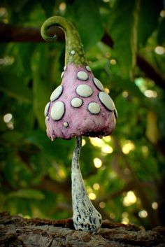 a purple mushroom sitting on top of a tree branch