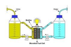 an image of a diagram showing the process of making a microtubt fuel cell