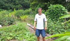 a man standing in the middle of a garden