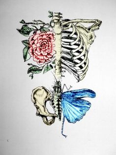 a drawing of a skeleton with flowers on it's side and a fish in its mouth