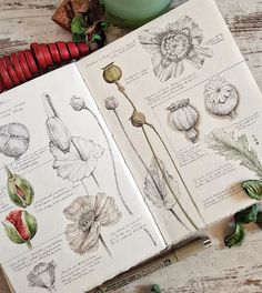 an open book with drawings of flowers on it next to a cup of coffee and other items