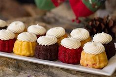 small desserts are lined up on a white plate with pine cones in the background