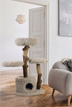 a cat tree in the corner of a living room