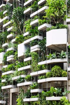 a tall building with lots of plants growing on it