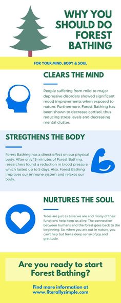 Spiritual Minimalism, Nervous System Activities, Natural Medicine Cabinet, Simple Lifestyle, Minimalism Lifestyle, Forest Bathing, Lifestyle Ideas, Wellness Quotes