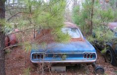 an old car sitting in the woods next to some pine trees and other junk cars