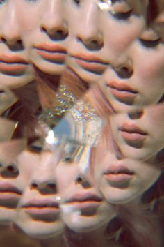 a woman's face is shown through a mirror with multiple images of her lips