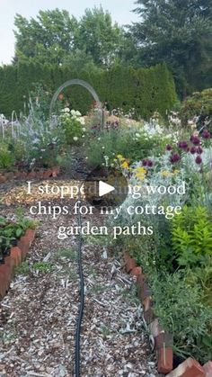 a garden filled with lots of plants and flowers