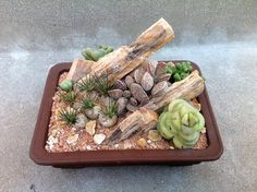 a planter filled with lots of succulents and wood sticks on top of gravel