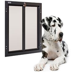 a dalmatian dog sitting in front of a sliding glass door that is open