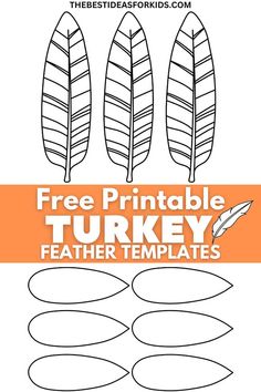 the free printable turkey feather templates