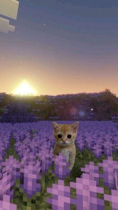 a cat is sitting in the middle of a field with purple squares on it's surface